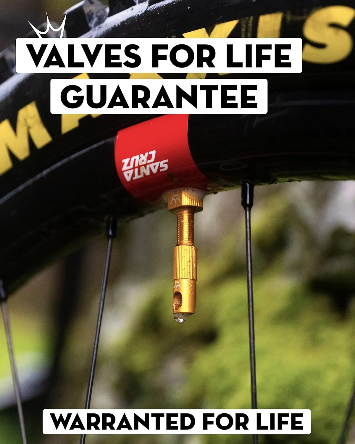 Peaty's X Chris King MK2 Tubeless Valves Presta - Integrated Spoke Key & Valve Core Removal Caps, Mountain Bike, Road & Gravel Bicycle Tyre, Insert Compatible, 7075 Aluminium - 42mm & 60mm